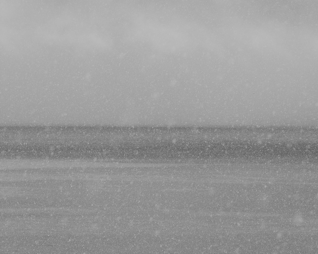 Seascape Vol. 13